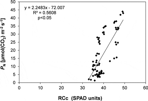 Figure 4. Regression analysis between net photosynthetic rates (PN) and relative chlorophyll content (RCc). Regression equation, determination coefficient (R2) and significance level (p) are shown.