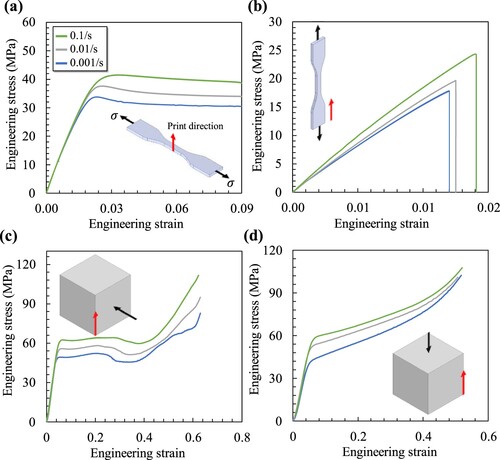 Figure 15. Demonstrating results of the uniaxial compression and tension testing under variant strain rates, showing the stress-strain curves for: (a) transverse tension, (b) parallel tensions, (c) transverse compression, (d) parallel compression.