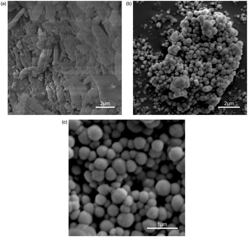 Figure 2. The SEM image of bulk PPD powder and PPD nanosuspensions ((a) PPD powder (× 9000), (b) PPD nanosuspensions (× 9000), and (c) PPD nanosuspensions (× 25 000)).