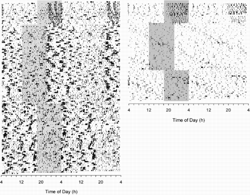 FIGURE 2.  Changes of the circadian activity rhythm following a single shortening or lengthening of the light time by 6 h. One of the 12 DAO hamsters (cf. Figure 1) became day-active following an advance of the LD cycle (left side). In three other animals, the activity rhythm started to free-run (right side). For further details, see Figure 1.