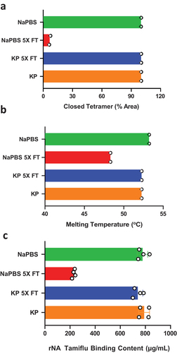 Figure 3. The freeze thaw-induced rNA conformational change is abolished when switching from NaPBS to KP buffer. The rNA in either KP buffer pH 7.4 or NaPBS pH 7.0 underwent 5X F/T cycles and (a) % Closed tetramer (n = 2), (b) Melting temperature Tm (n = 2), and (c) Tamiflu Binding (n = 4) were measured. Error bars represent the standard deviation from the mean.