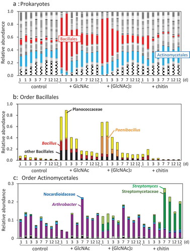 Figure 4. Abundance ratio of Prokaryote orders (a), the order Bacillliales (b), and the order Actinomycetales in the upland soil incubated with GlcNAc, (GlcNAc)2, or powdered chitin. Bacterial orders accounting for less than 0.01 (1%) were compiled as ‘other bacteria’, which is indicated by stripes in A. (a) Red parts represent the order Bacillales; sky blue, order Actinomycetales. (b) Yellow, family Planococcaceae; orange, genus Paenibacillus; brown, genus Bacillus; black, other Bacillales. (c) Light-green, genus Streptomyces; green, family Streptomycetaceae; sky blue, family Nocaudioidaceae; blue, genus Catellatospora; purple, genus Arthrobacter; gray, genus Phycicoccus; black, family Intrasporangiaceae.