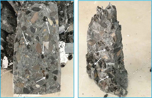 Figure 7. Fractured cylinder specimens of LWAC mixtures (Note: arrows show the fractured LWA particles).