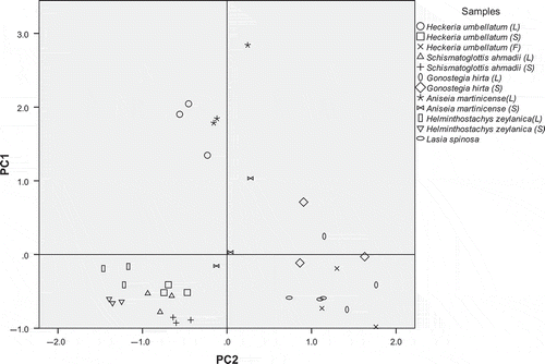 Figure 2  Score plot obtained from PCA of antioxidant activity and total phenolics and flavonoids for hot water extract.