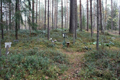 Figure 2. A view of the Hiironen pet cemetery taken from its southeastern corner. Photo: Janne Ikäheimo.
