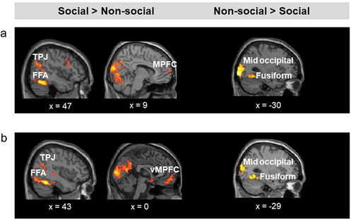 Figure 3. (a). Brain regions showing increased activation for social relative to non-social stimuli (left), and for non-social relative to social stimuli (right), irrespective of threat level and direction of movement. (b). Brain regions showing increased activation for social relative to non-social stimuli (left), and to non-social relative to social stimuli (right), irrespective of threat level and distance. TPJ = temporoparietal junction; FFA = face fusiform area; MPFC = medial prefrontal cortex. Activation threshold set at cluster-forming p< .001 uncorrected, and FDR-corrected p< .05 at the cluster level. Results in the figure are displayed at p< .005 uncorrected for visualization purposes, but only clusters surviving at the predefined threshold are highlighted.