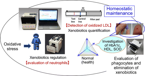 Figure 5. Development of devices for homeostasis maintenance evaluation in Platform IV.