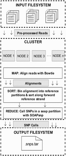 Figure 6. A working pipeline of Crossbow used for whole genome resequencing combines Bowtie, for short read aligner, SoapSNP for identifying SNPs from high-coverage, short-read resequencing data. Hadoop allows Crossbow to distribute read alignment and SNP calling subtasks over a cluster of commodity computers.