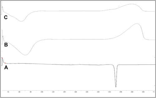 Figure 4 DSC thermogram of (A) clarithromycin, (B) chitosan, (C) optimized clarithromycin nanoparticles (CTM-CHNPopt).