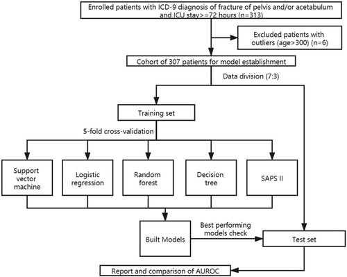 Figure 1. Flowchart of patient selection and study design.