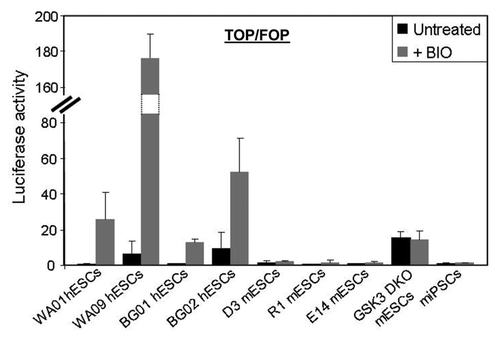 Figure 2. Gsk3 suppresses canonical Wnt activity in human PSCs but not murine PSCs. Luciferase activity assays with the β-catenin reporter (Top-Flash/Fop-Flash) following treatment with BIO (2 μM) for 72 h.