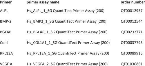 Figure 4. Primer list for real-time PCR.