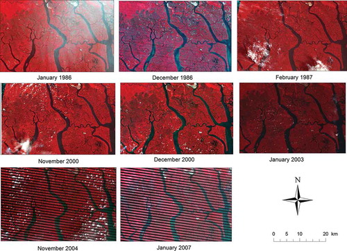 Figure 3. Landsat-5 and -7 images in false colour composite (bands 4, 3, and 2) of the study area.