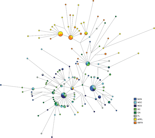 FIGURE 3. Median joining network of mitochondrial DNA control region haplotypes identified in Southern Flounder. Circles represent haplotypes; colored wedges indicate geographic populations. Circles and wedges are proportional to the sample size, and the length of the connection is proportional to the number of nucleotide changes between haplotypes. Location codes are defined in Figure 1.