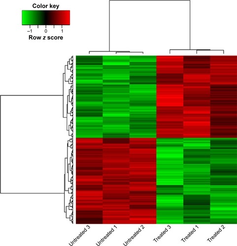 Figure 1 Heatmap of differentially expressed genes (DEGs) between samples of human epithelial ovarian cancer cell line TOV112D untreated and treated with NSC319726.