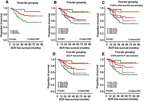 Figure 1 Kaplan-Meier curves of BRFS. (A) BRFS curves according to the three-tier grouping system; (B) BRFS curves according to the five-tier grouping system; (C) BRFS curves with the five-tier grouping system with GG3 patients with the tertiary GS 5 excluded; (D) BRFS curves with the five-tier grouping system with IDC-P excluded; (E) BRFS curves with the five-tier grouping system with TGP5 and IDC-P excluded.Abbreviations: BCR, biochemical recurrence; BRFS, biochemical recurrence-free survival; GG, Gleason grade group; GS, Gleason score; IDC-P, intraductal carcinoma of the prostate; TGP5, tertiary Gleason pattern.