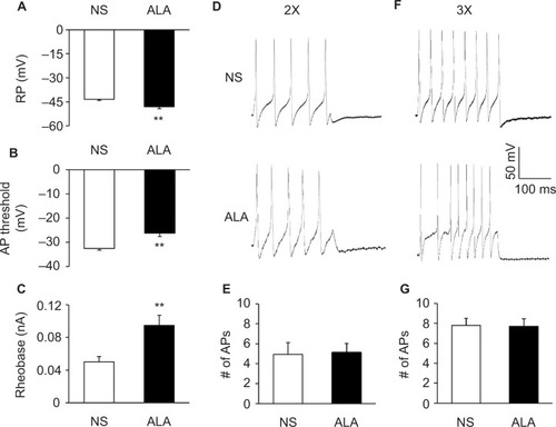 Figure 3 ALA treatment changed membrane properties of DRG neurons.
