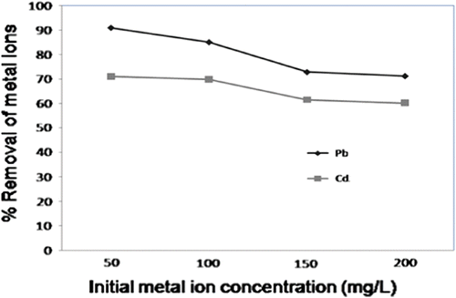 Fig. 4 Effect of initial metal ion concentration of Pb2+ and Cd2+, (30 mg, pH 5.1, 30 min).