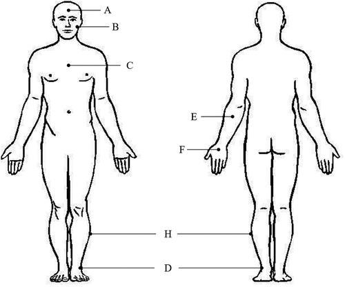 Figure 2. Schematic diagram of the skin measuring point.