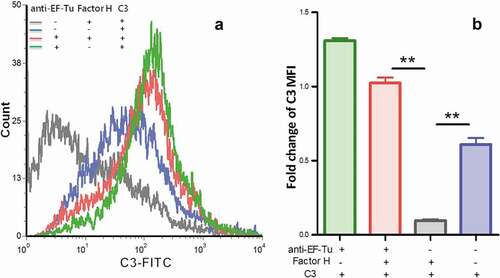 Figure 4. Detection of C3 deposition on the surface of M. hyopneumoniae using flow cytometry.