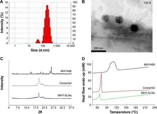 Figure 1 In vitro characterization of MHY-SLNs.