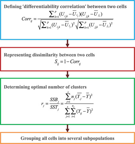 Figure 4. Flowchart of differentiability correlation methods.