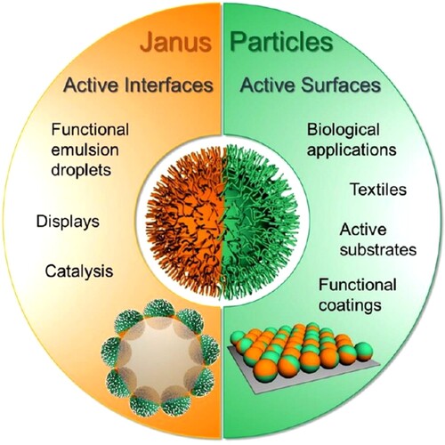 Figure 5. Potential uses of Janus particles. From A. Kirillova, C. Marschelke and A. Synytska: ACS Appl. Mater. Interfaces, 2019, 11, 9643–9671.