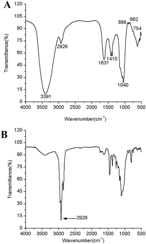 Figure 3. FTIR spectra. (A) SHDPs; (B) methylated SHDPs.