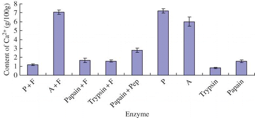 Figure 4 Calcium-binding ability of different yak bone peptides. Note: Each sample was determined 3 times (color figure available online).