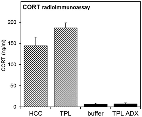 Figure 7. Corticosterone radioimmunoassay. CORT measurements were performed on animals from experiments 1 (striped bars) and 4 (black bars). Animals were sacrificed between ZT2-3.5, when animals expected to be tested in the first TPL session. Blood samples were taken from the heart prior to transcardial perfusion and CORT was measured by radioimmunoassay. Error bars represent SEM.