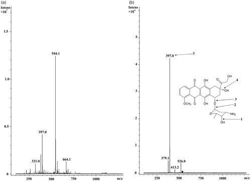 Figure 5. (a) Full scan mass spectrum of DOX and (b) product ion spectrum of the mass-selected [M + H]+ ion of m/z 544.1.
