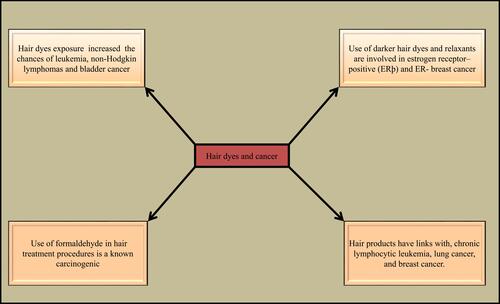 Figure 2 Associations between hair-coloring products and cancer risks. The Hair-dye ingredients increase the risks of different cancer types, such as leukemia, lung, breast, and skin.