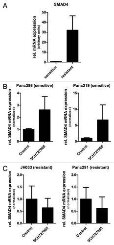 Figure 8 SMAD4 mRNA expression in xenograft tissue specimens at the end of treatment. (A) Steady-state SMAD4 mRNA levels were significantly higher in mock-treated xenografts that were resistant to SCH727965 (Panc291 and JH033) as compared with xenografts that were SCH727965 sensitive (Panc286 and Panc219). Ten tissue samples from each xenograft line were included in the analysis and mRNA expression levels were determined by means of quantitative real-time RT-PCR. (B) SMAD4 mRNA expression levels in sensitive and (C) resistant xenografts after treatment with SCH727965 or solvent, respectively.