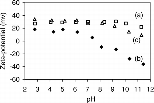 FIG. 5 Zeta potential of (a) co-polymer, (b) magnetite, (c) co-polymer-coated magnetic nanocomposite particles as a function of pH.