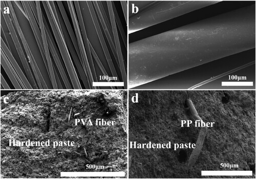 Figure 1. (a, b) SEM images of PVA and PP fibres and (c, d) SEM images of PVA and PP fibres in the 3D printed WPCCs.