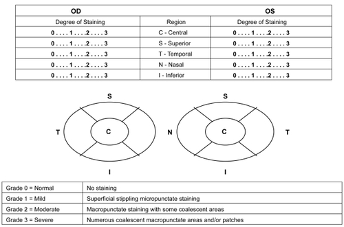 Figure 1 Corneal regions and staining grades.