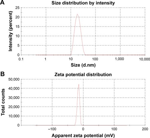 Figure 3 (A) Droplet size and distribution of BD-SNEDDS. (B) Zeta potential of BD-SNEDDS.Abbreviation: BD-SNEDDS, BD-loaded self-nanoemulsifying drug delivery system.