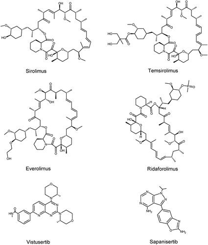 Figure 7. Structures of PIKK family members mTOR inhibitors.