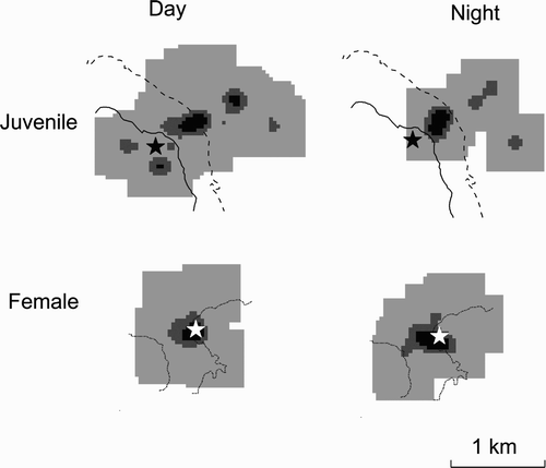 Figure 2. The kernels of activity by radiotagged female (top) and juvenile (bottom) Short-eared Owls in Scotland during daylight and at night in the 2011 breeding season. Darker shading shows the core areas of most frequent use (30% kernel density), intermediate shading (60% kernel activity) and lighter shading (90% kernel activity) show the active area of use; the dotted contours show 300 m asl, the dashed contours show 400 m asl and the solid lines show 500 m asl; the locations of nest-sites are indicated by star symbols.