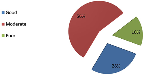 Figure 2 Level of nurses’ knowledge on HE.