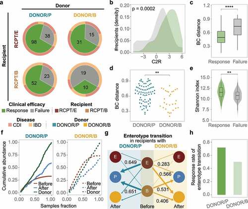 Figure 4. Enterotype-based donor-recipient matching contributes to FMT success. (a) FMT efficacy for different enterotypes of recipients and donors (n = 286). The statistic represents the number of patients who received FMT. (b-c) C2R (b) and Bray-Curtis (BC) distance (c) between the response and failure groups of RCPT/E after FMT (n = 182). The density of the number of recipients was depicted in the y-axis (b). (d) BC distance between RCPT/B patients and donors of DONOR/P or DONOR/B (n = 104). (e) The summed alpha diversity between the response group and the failure group of RCPT/B (n = 104). The summed alpha diversity was calculated by summing the Shannon alpha diversity of paired recipients and donors. (f) The cumulative abundance curve of donor-specific genera in recipients or donors during FMT. Donor-specific genera were those with significant differences in abundance between DONOR/P and DONOR/B (Wilcoxon test, q < 0.05). Cumulative abundance was calculated by summing corresponding donor-specific genera in recipients before or after FMT. To make this measure comparable between the two donor enterotypes, the cumulative abundance was normalized to the level of corresponding donors separately (DONOR/P or DONOR/B). The sample fraction was normalized by the number of recipients in each group (transplanted by DONOR/P or DONOR/B). (g) Enterotype transition in recipients treated with different donors (DONOR/P and DONOR/B). Blue and yellow lines represent DONOR/P and DONOR/B, respectively. The number represents the fraction of enterotype transitions, and only fractions higher than 0.25 are depicted. (h) The response rate of recipients with enterotype transition. DONOR/P and B represent the enterotypes of the donor for the recipients. Asterisks indicate significance (****p < .0001, ***p < .001, **p < .01, *p < .05).