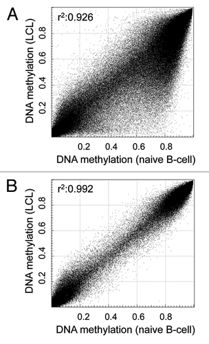 Figure 1. Probe filtering results in consistent DNA methylation profiles between naive and immortalized samples. (A) DNA methylation level of 448,376 CpG sites (after filtering for high quality autosomal probes not overlapping SNPs) of a representative lymphoblastoid cell line (LCL) and a naive B-cell sample. (B) DNA methylation levels of 272,290 CpG sites of the same samples after excluding probes affected by Epstein-Barr virus immortalization and cell composition differences. The correlation coefficient (r2) was calculated using Pearson’s correlation analysis.