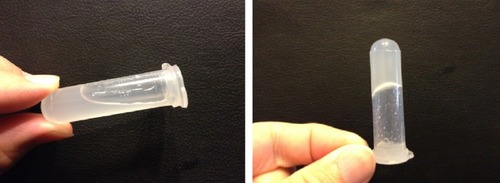 Figure 1 In vitro hydrogel formation with in situ gels (0.6% DGG, w/v) and artificial tears (25:7, v/v).