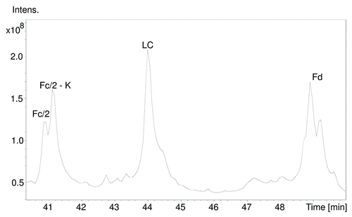 Figure 3. Total ion chromatogram of IdeS cleaved and reduced cetuximab separating the three major subunits. For each of the Fc/2 and Fd subunits, two peaks were observed. Fc/2 shows lysine clipping at the heavy chain’s C-terminus, Fd exhibits glycosylation heterogeneity (presence of sialic acid).