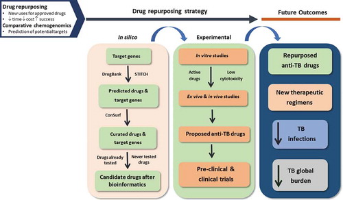 Figure 3. Graphical summary of the proposed strategy for the development of anti-TB drugs, using in silico drug repurposing. TB, tuberculosis