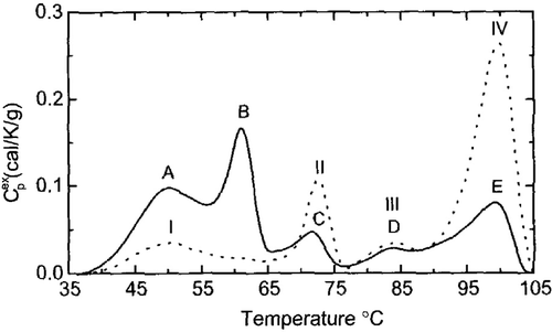 Figure 3. Thermal Denaturation of Cellular Components. DSC profiles of excess Cp vs. temperature for V79 cells (solid line) an nuclei isolated from V79 cells (dotted line). Reprinted from Ref. 8.