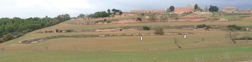 Figure 5. General view (looking north-west) of l’Espanyol, Els Prats de Rei, showing the settlement above the valley with braided terraces. The arrows indicate the location of luminescence profiles taken from the lowest terrace. Photo: Sam Turner, November 2014.