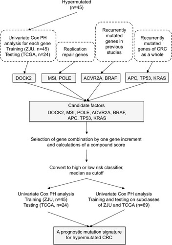 Figure 1 Flowchart of prognostic signatures generation and validation procedures.Abbreviations: TCGA, The Cancer Genome Atlas; ZJU, Zhejiang University; PH, proportional hazard; CRC, colorectal cancer.