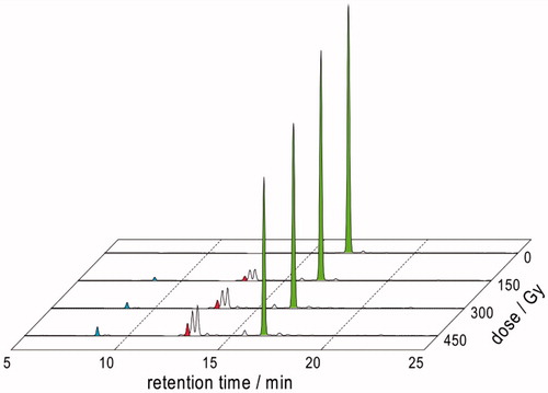 Figure 5. HPLC traces of γ-irradiated of N2O:O2 (90:10 v/v)-saturated solutions of 1.10 mM Gly-Met-Gly at natural pH (dose rate ∼5.5 Gy min−1) after OPA derivatization.