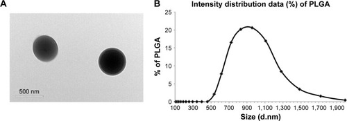 Figure 3 TEM image of HCV1b-E2-PLGA (A). Size distribution of HCV1b-E2-PLGA microspheres (B).Note: Scale bars represent 500 nm.Abbreviations: TEM, transmission electron microscopy; PLGA, poly d,l-lactic-co-glycolide.